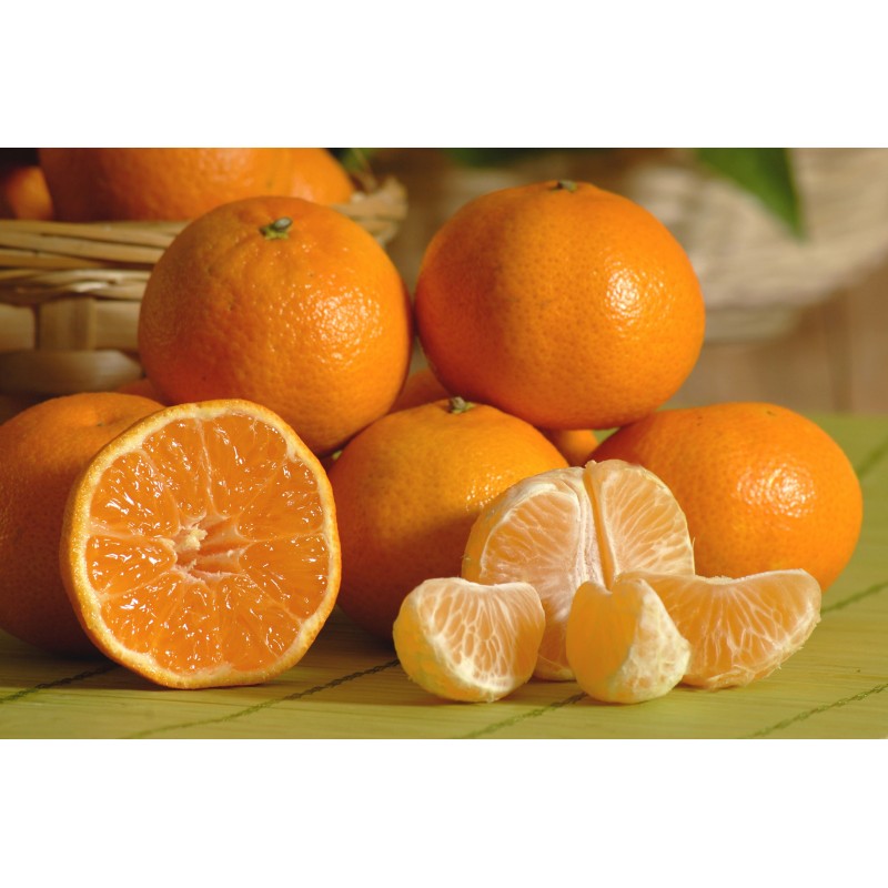 Mandarine Safor Bio (500gr) - Image du produit