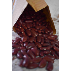 Haricot sec rouge Bio ( 500 grs )  Image du produit