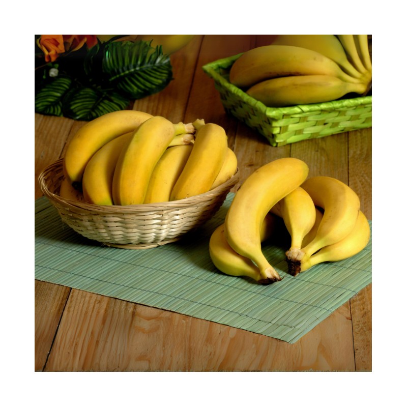 Bananes cavendish 18cm ( 500gr)