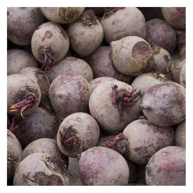 Betterave rouge bio (500 g) - Image du produit