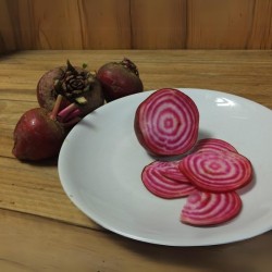 Betterave Chioggia Bio ( 500 grs ) - Image du produit