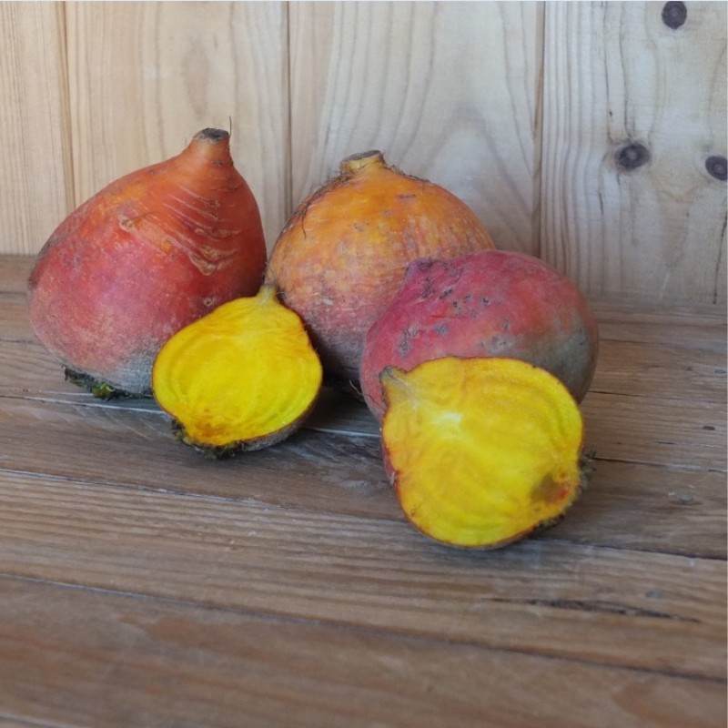 Betterave Jaune-Orangée - Image du produit
