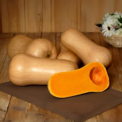Courge Butternut Bio (Pièce) - Image du produit