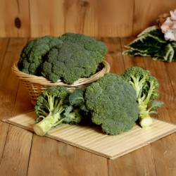 Brocolis Bio (environ 450 gr)