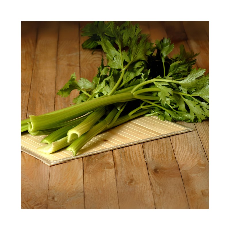 Céleri Bio Branche (500g)