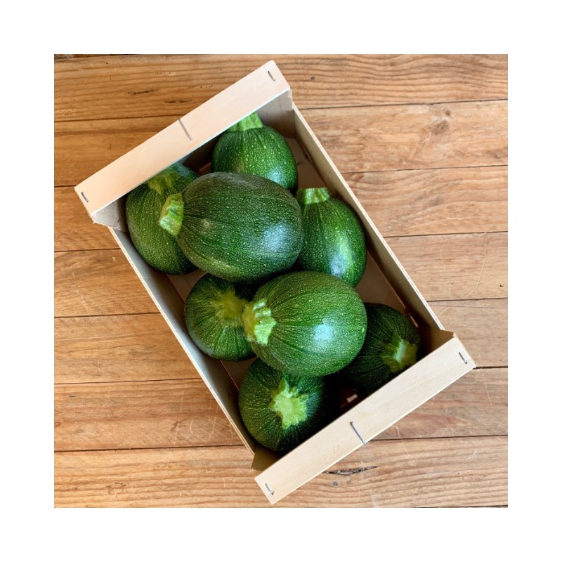 Courgette Ronde Verte Bio (500 g) - Image du produit
