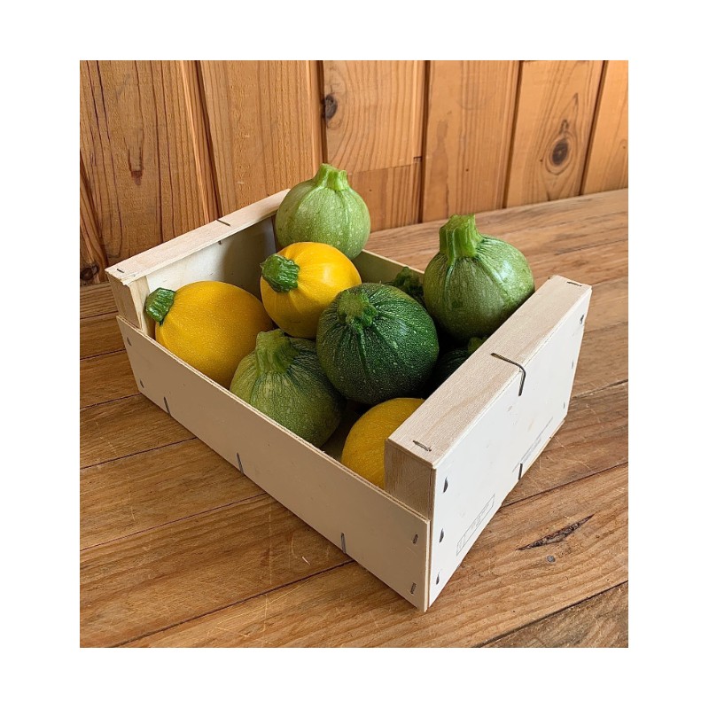 Courgettes Ronde 3 couleurs Bio (500g) - Image du produit