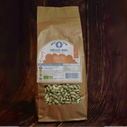 Haricots sec Flageolets Bio (500 g)
