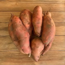 Patate Douce bio (500 g)