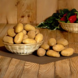 Pomme de terre à chair Ferme bio (500 g)