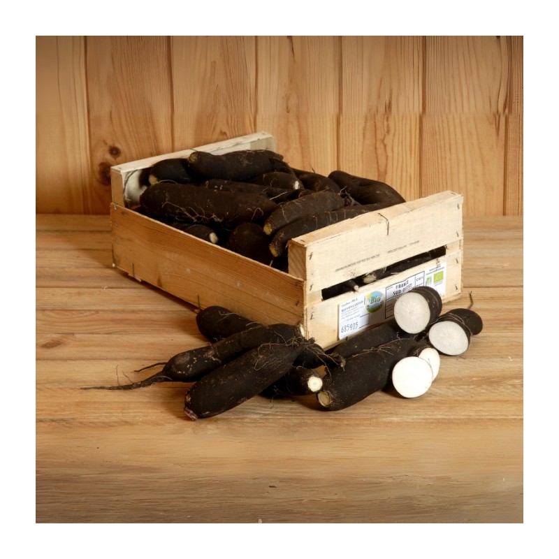 Radis Noir Long bio (500 g) Radis Noir Long bio (500 g)