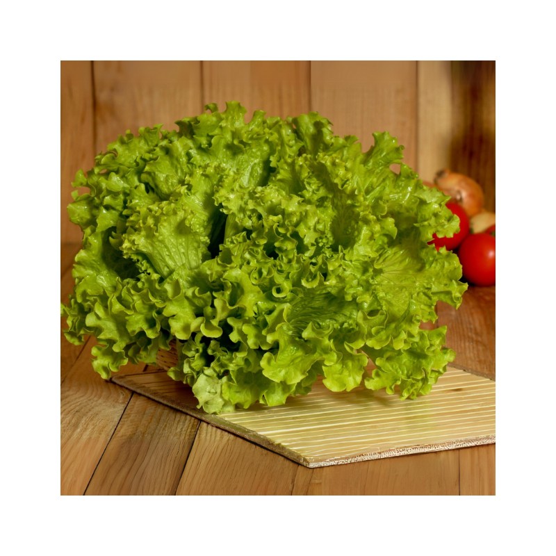 Salade Batavia bio ( 1 pièce)