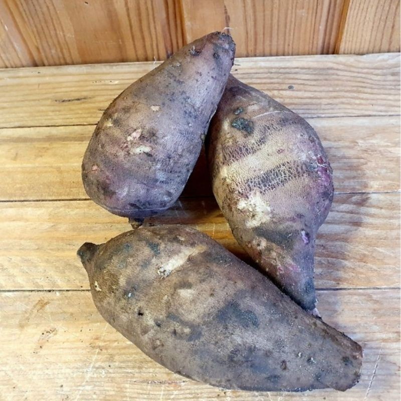 Yacon  Poire de terre bio