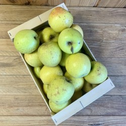 Pomme Goldrush Delisdor bio