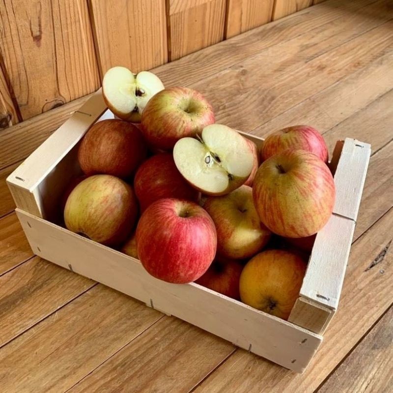 Pomme Fuji bio