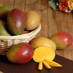 Mangue Keitt (pièce)