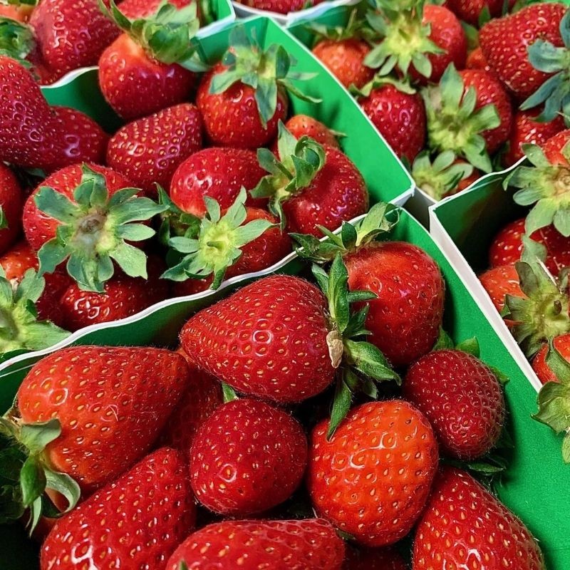 Fraises Bio Joly (250 g)