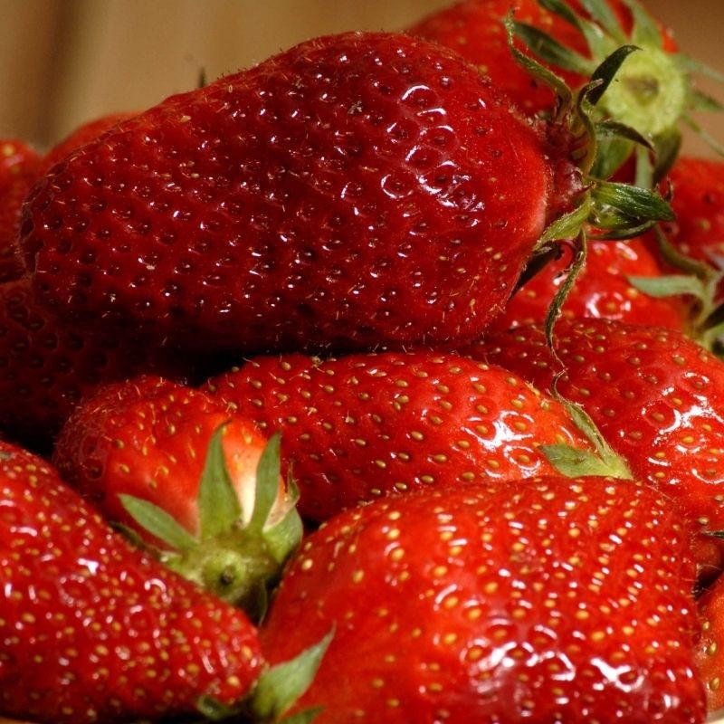 Fraise Bio Gariguette (250 g) Fraise Bio Gariguette (250 g)