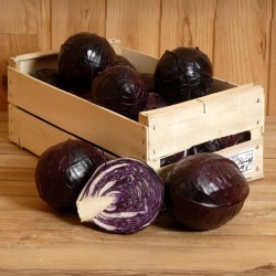 Chou Rouge bio (1 pièce)